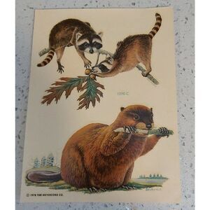 Vintage Meyercord Transfer Beaver Raccoons John Koralus Rare 1598-C 1978